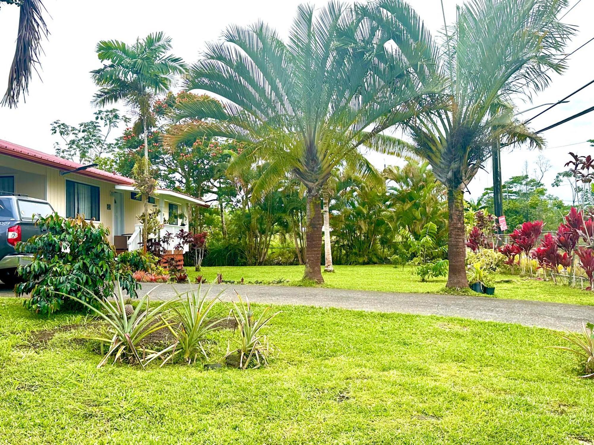 Big Island Getaway Apartamento Pahoa Exterior foto